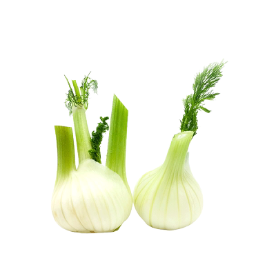 【蓝牌】新鲜茴香头根500g