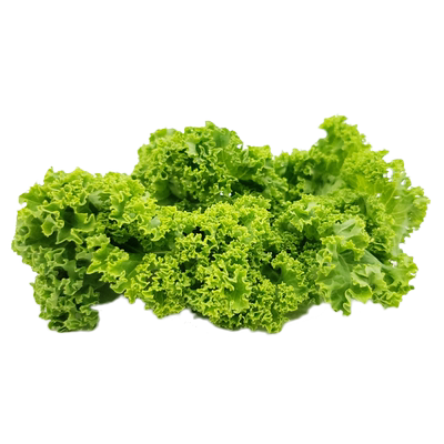 【蓝牌】新鲜沙拉菜叶羽衣甘蓝