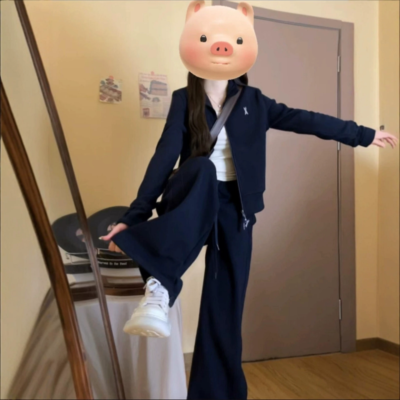 高级感显瘦运动套装女韩系两件套图片