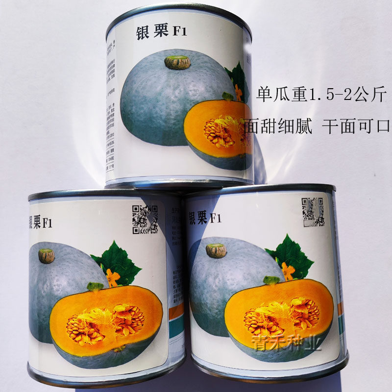 渤丰银栗南瓜种子新品种春播肉厚粉质面甜农家南北蔬菜南瓜种籽孑,鲜花速递/花卉仿真/绿植园艺,家庭园艺种子,淘宝优惠券,粉丝福利购,淘宝优惠卷
