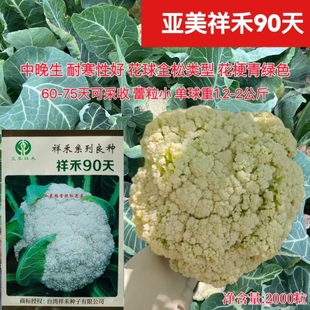 祥禾90天花椰菜种子春秋播小米粒青梗松花菜种籽较耐寒白花菜种孑