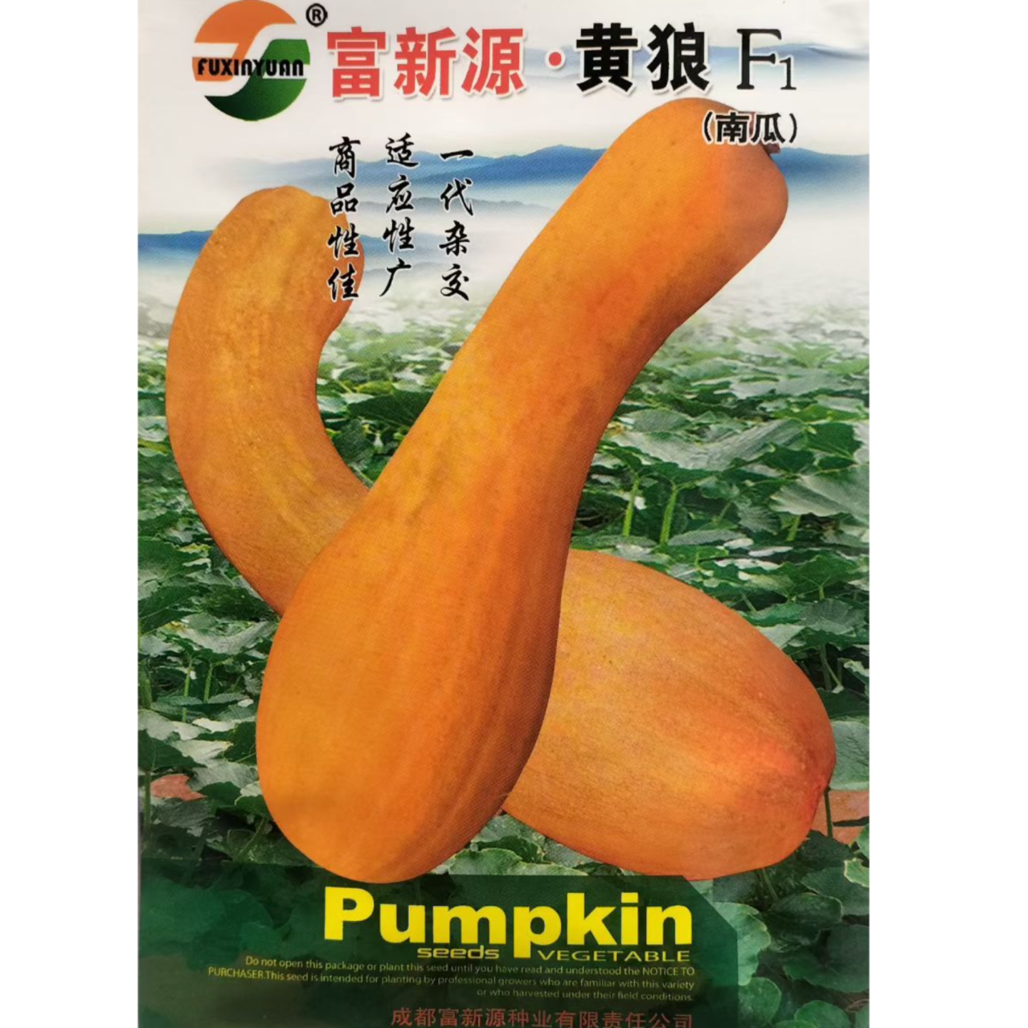 南瓜种子富新源黄狼一代杂交南瓜种籽春播早熟肉质细糯甘甜蔬菜籽