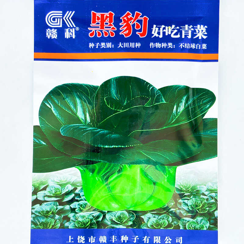 矮脚黑将军青菜种籽青梗菜种子农家阳台盆栽好吃青菜小白菜蔬菜孑