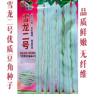 雪龙二号优质豆角种子无纤维丰产抗病四季豆种籽春秋播种梅豆种孑