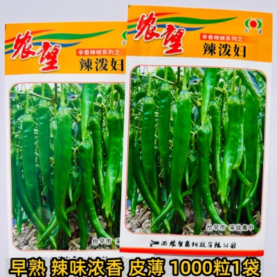 农望辣泼妇早熟辣椒种子皮薄小羊角椒辣椒种籽辣味浓香蔬菜种子孑