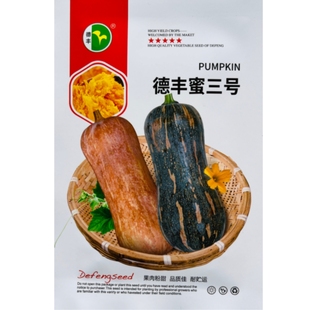 德丰蜜三号南瓜种子春播中晚熟南瓜种籽肉质粉甜香味浓丰产南瓜孑
