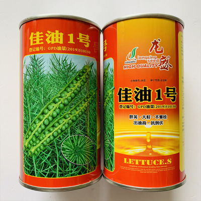 油菜种子佳油一号出油高抗倒伏秋播耐寒冬油菜食用观赏油菜花种籽