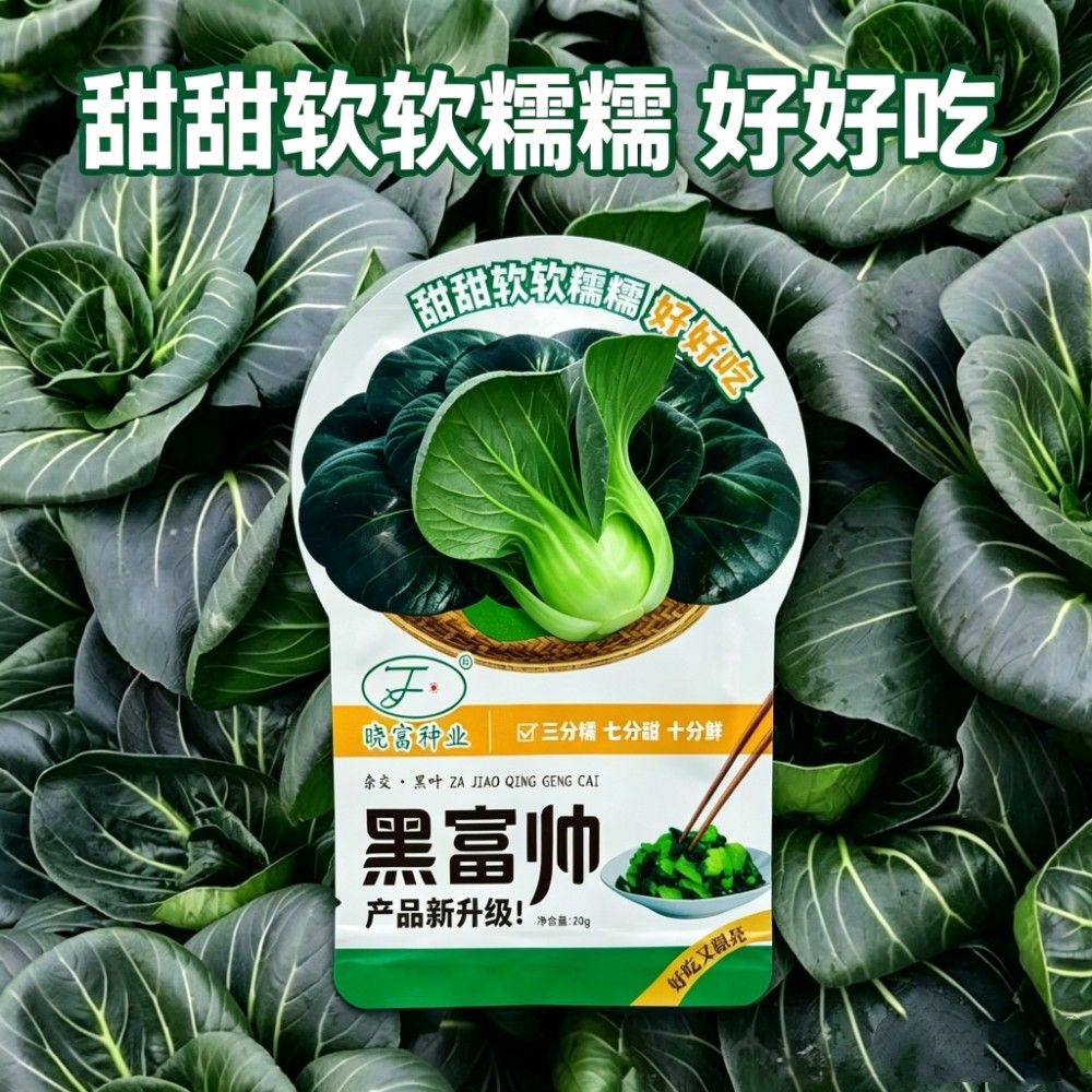 晓富黑富帅黑叶青菜种子春秋播杂交黑油亮苏州青软糯青菜籽蔬菜种