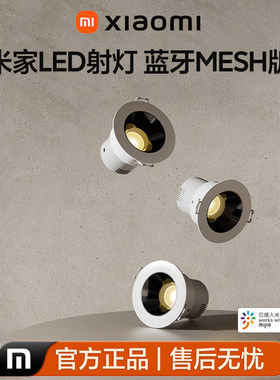 米家LED射灯蓝牙MESH小爱控制