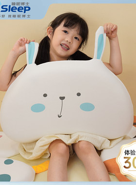 睡眠博士伙伴系列硅胶枕枕套替换枕套A类面料换洗枕套四季可用