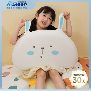 睡眠博士伙伴系列硅胶枕枕套替换枕套A类面料换洗枕套四季可用