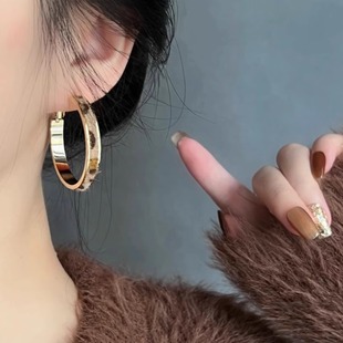 夸张豹纹耳圈女2026新款爆款圈圈耳环气质高级感简约网红银针耳饰
