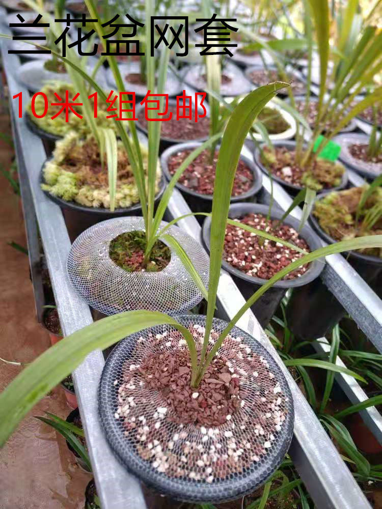 兰花盆网套兰花盆防漏网兰花盆保护网套防植料散落高弹兰花盆套网