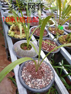 兰花盆网套兰花盆防漏网兰花盆保护网套防植料散落高弹兰花盆套网
