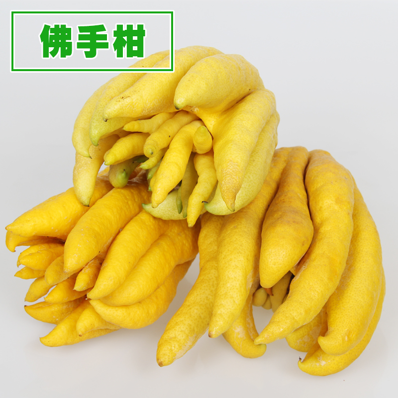 清香天然佛手果云南西双版纳特产新鲜水果金佛手约2斤半特价包邮