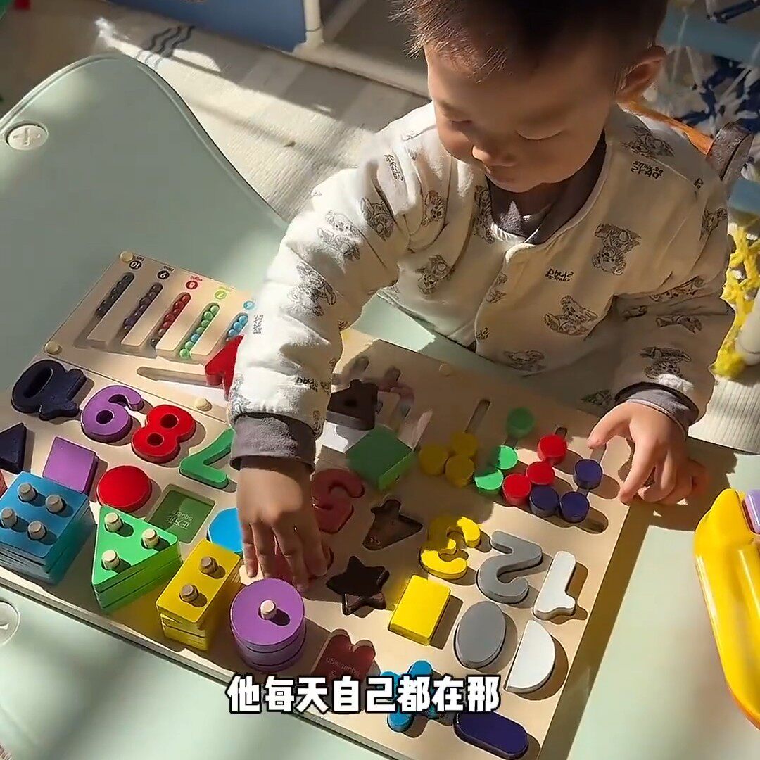 玩具益智0-3岁蒙氏早教教具儿童1岁宝宝幼儿木质拼图积木制聪明板