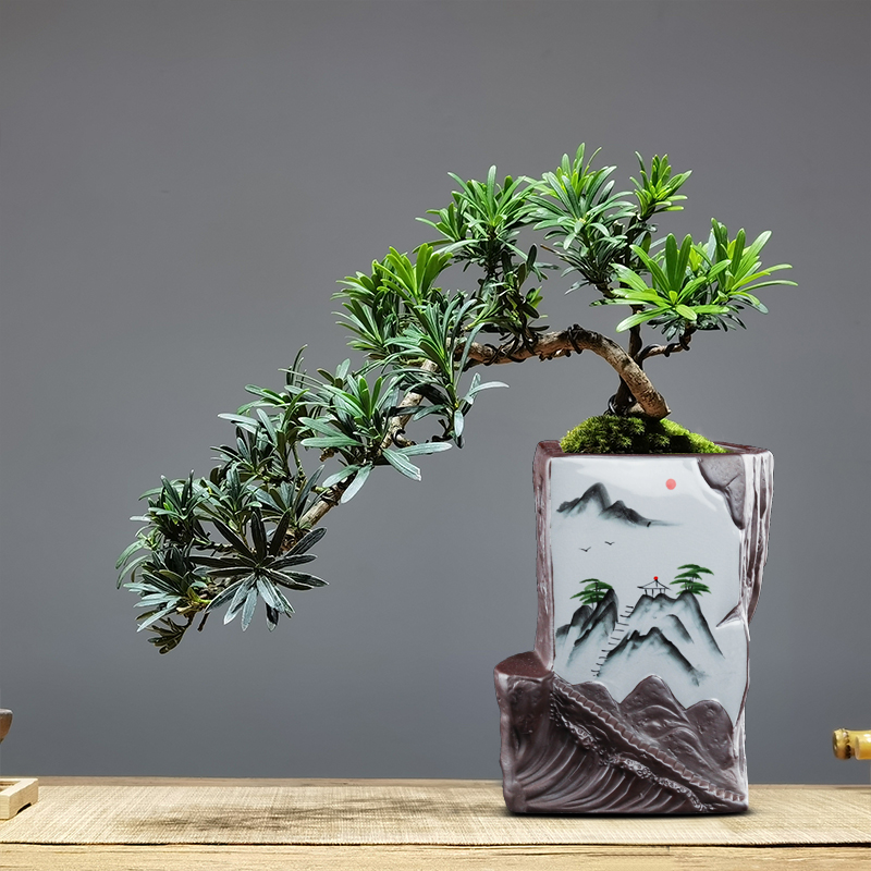 陶瓷高温异形纯手工手绘飘枝绿植造景盆景花盆绿植精品桌面专用盆