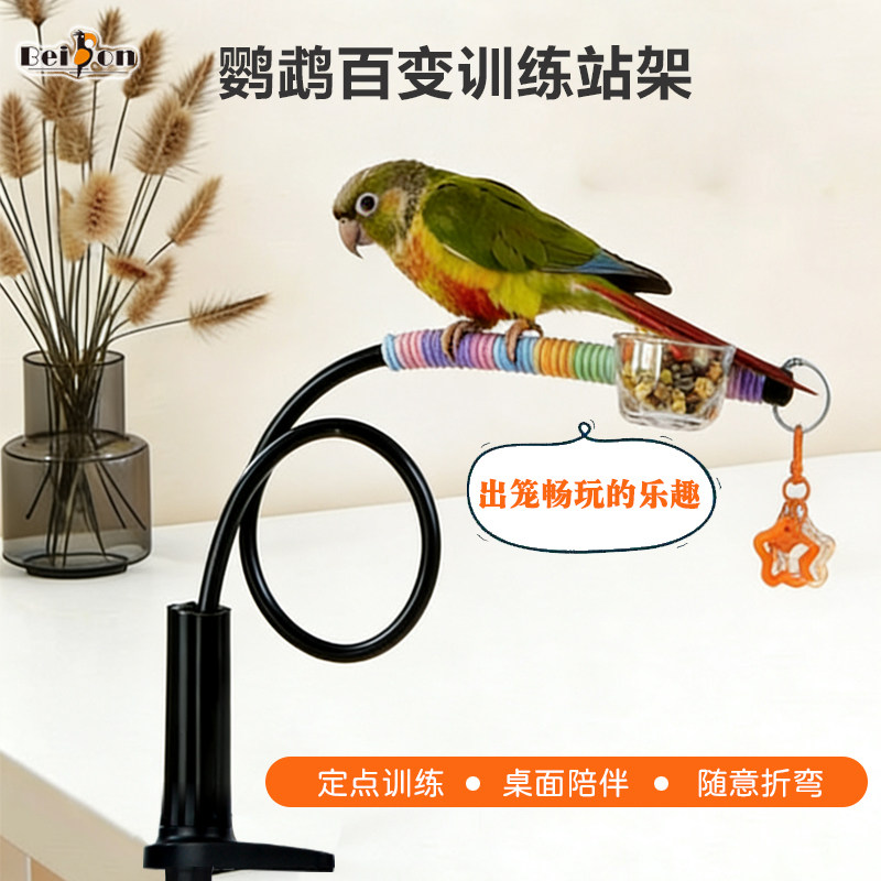 鹦鹉定点排便站架桌面食盒玄凤牡丹小太阳磨爪站杆解闷玩具鸟用品图片