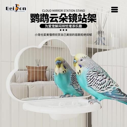 贝松鹦鹉站架多功能区悬挂设计