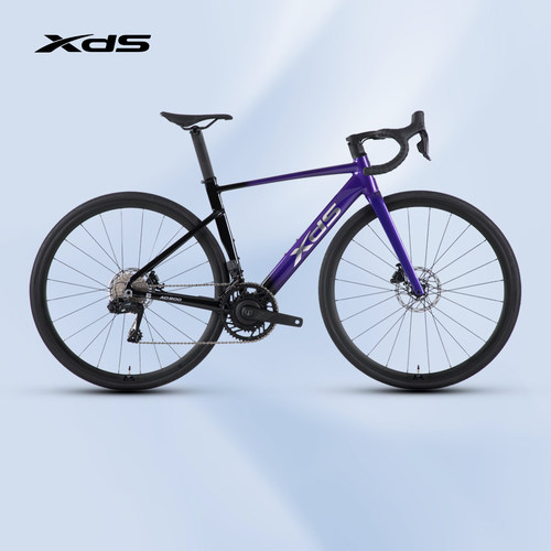 喜德盛25款AD500功率计电变单车