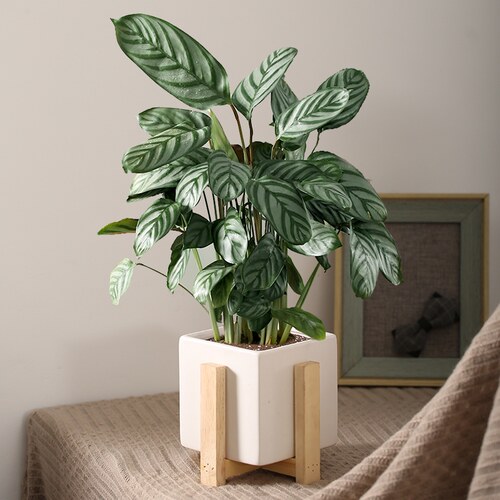 油画温馨多少钱 油画温馨价格 小麦优选