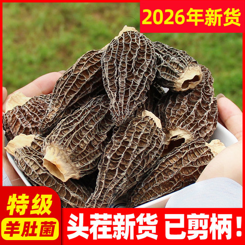 羊肚菌干货特级精选云南新鲜菌菇