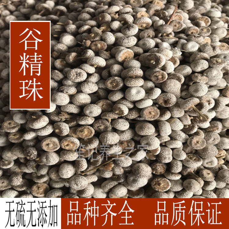 中药材谷精珠新货 野生谷精草谷精子 500g包邮