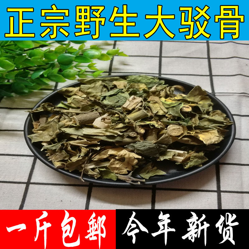 包邮正品中药材野生大驳骨 还魂草 接骨木 大骨风 另有小驳骨