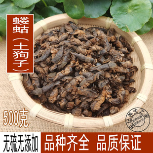 蝼蛄中药材土狗子整个不碎蝼蛄干货拉蛄土狗蝲蛄500克 可磨细粉