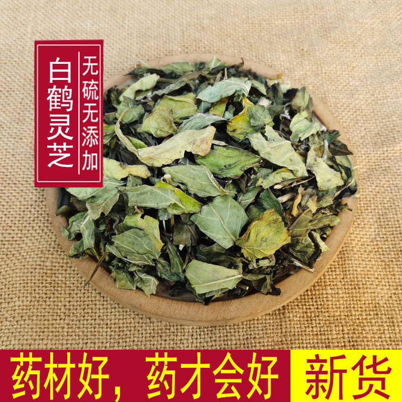 中药材白鹤灵芝草 白鹤灵芝 正品 新鲜干货 500克包邮