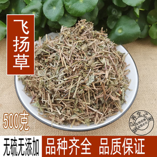 包邮中药材 大飞扬草 500克 飞扬草 大乳汁草 无硫飞杨草