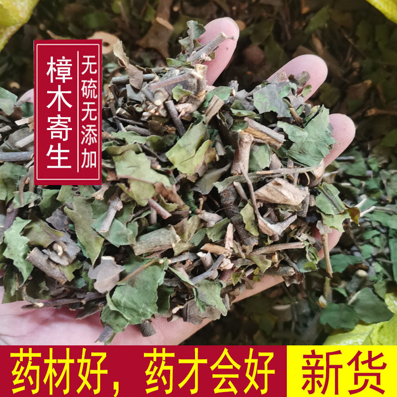 樟树寄生 香樟树寄生 樟木寄生 500克包邮