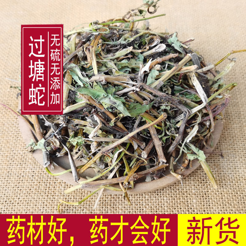 过塘蛇 过沟龙 过江藤 过江龙黄花水龙 过江藤 500克包邮