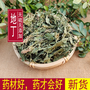 中药材 野生地丁草 紫花地丁草 苦地丁 草地丁500克包邮