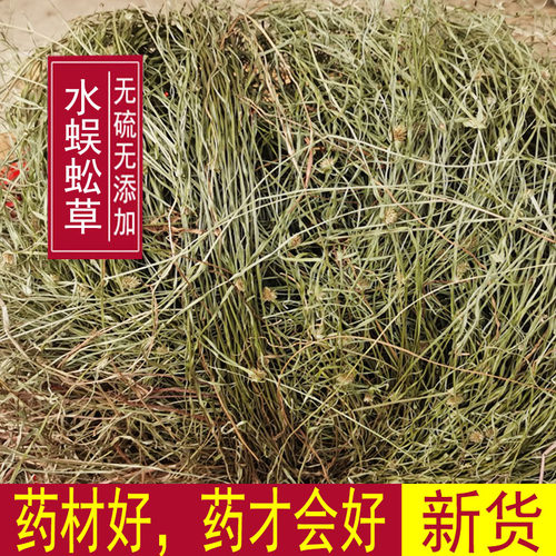 水蜈蚣草 寒气草 散寒草 一箭球 三荚草 金纽草 三箭草 三星草