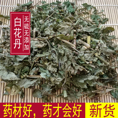 天然野生白花丹 一见消 百花丹 白雪花新货一斤包邮