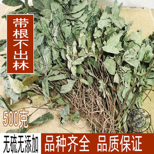 中药材矮地茶 平地木 全草带根不出林 叶底珠 叶下红 紫金牛包邮