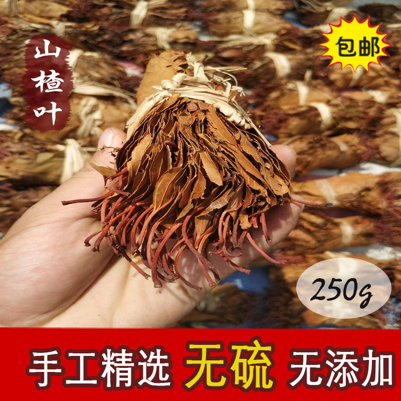 新货野生山楂茶叶天然野山楂叶茶250g包邮养生茶