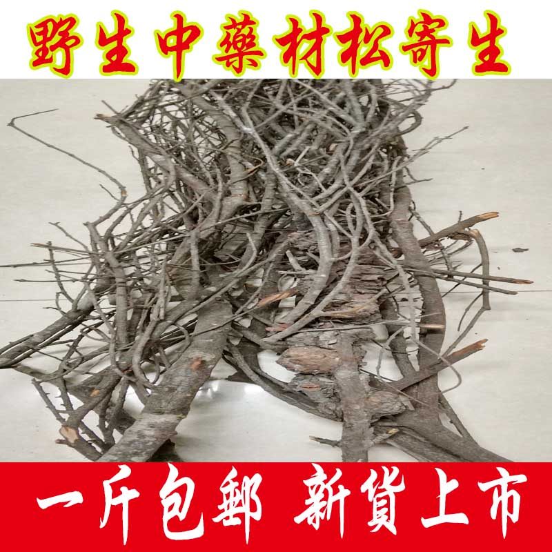 野生中药材松寄生 松树寄生 松木寄生 松柏寄生一斤包邮