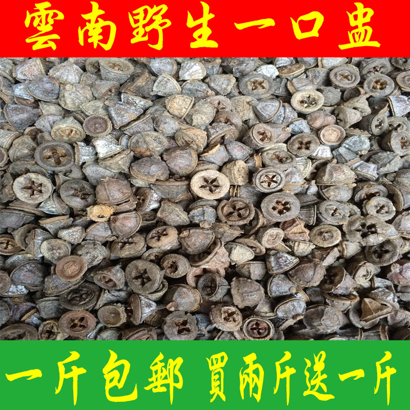 野生云南泡酒中药材500g包邮