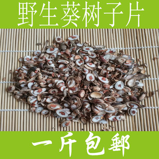 切片野生葵扇子 葵扇籽 葵树籽 葵树子片 蒲扇子蒲葵子500克包邮