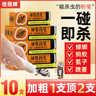 广州佳丽神奇药笔虱子家用灭蚁药跳蚤臭虫蟑螂药粉德国小蠊全窝端