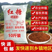红糖养殖用水产养殖专用猪牛羊兽用农用散装 发酵EM菌畜牧红糖粉