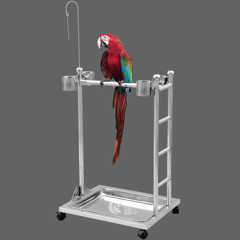 Guangdong di luxury Stainless steel Parrot Bird parrot Large Stainless steel large Grey Parrot Site DTJin the Pet/Pet food and supplies , Birds and supplies , Bird appliances (New) , Cage  category - from Buy2taobao.com to provide professional Taobao agent buy service
