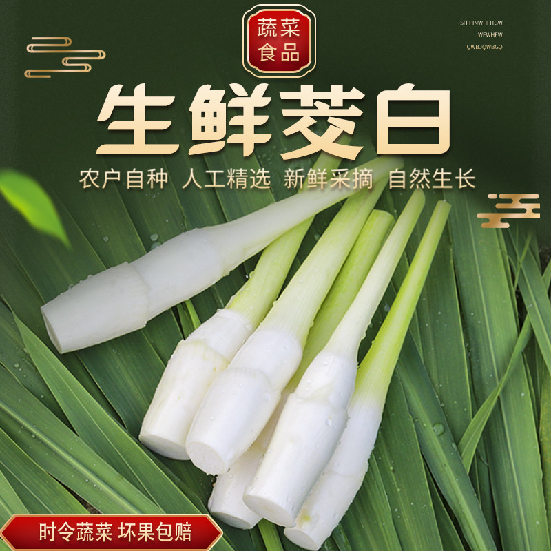 新品特级新鲜农家高山茭白产妇月子下奶茭笋高瓜水笋时令蔬菜交白