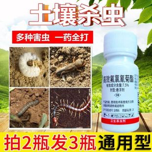 除花卉盆景土壤杀虫剂刹泥土里 虫子地下害虫家用杀菌通用发财树