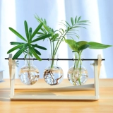 Глаза -Защита гидропонной растения стеклянная бутылка Гидравлическое настольное рабочие столы декоративные общежития офисная комната Зелено