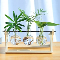 Глаза -Защита гидропонной растения стеклянная бутылка Гидравлическое настольное рабочие столы декоративные общежития офисная комната Зелено