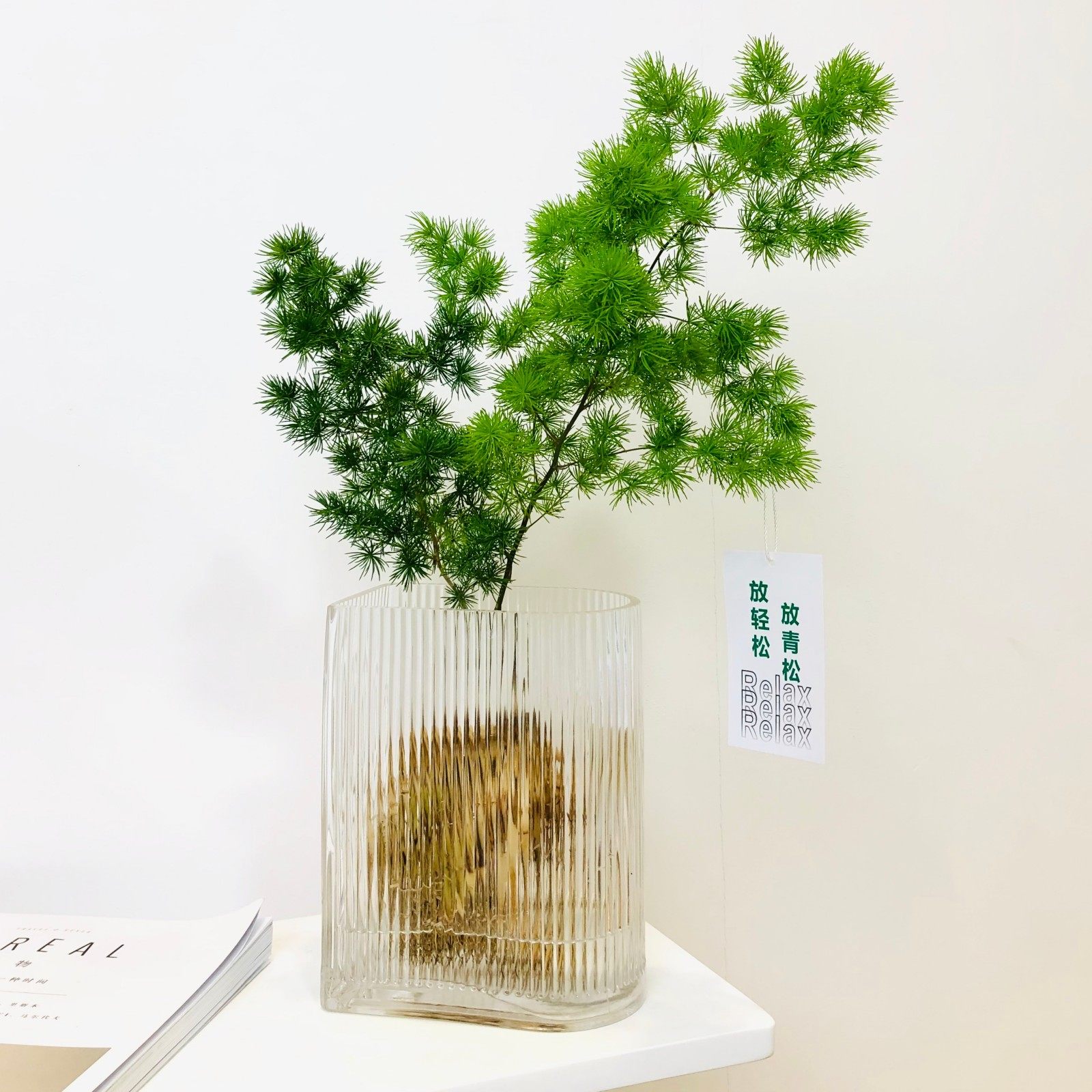 水培蓬莱松盆栽桌面绿植懒人好养图片