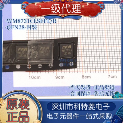 WM8731LSWM8731CLSEFLR原装WOL